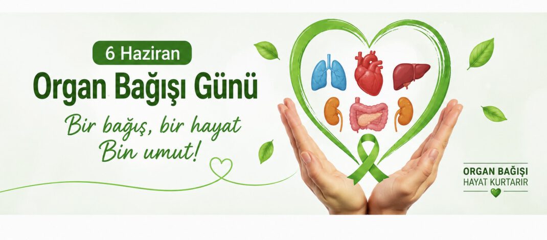 Almanya, Organ Bağışı Gününde Büyük Bir Dönüşüme Hazırlanıyor