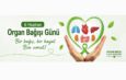 Almanya, Organ Bağışı Gününde Büyük Bir Dönüşüme Hazırlanıyor