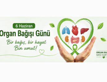 Almanya, Organ Bağışı Gününde Büyük Bir Dönüşüme Hazırlanıyor